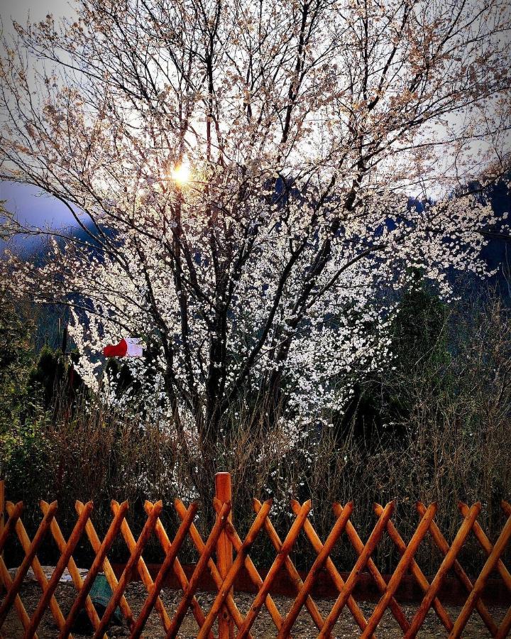 Moksha Slovenia Tolmin Eksteriør bilde